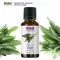 Now Foods Essential Sage Oil 30 mL 100% Pure น้ำมันหอมระเหย เสจ