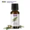 Now Foods Essential Cypress Oil 100% Pure 30 mL น้ำมันหอมระเหยไซเปรส