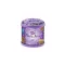 King's Stella Gel Freshy Bear Lavender 80 grams Purple