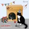 KAFBO CUBE CAT PARTY STICKER, a cat's house box, black cat sticker