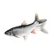 KAFBO DANCING FISH Fish Fish, Fish, Toys, Cat toys