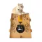 KAFBO SAFARI Leopard, a leopard cat house box