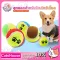 Tennis balls, dogs, dog toys, dog training, pet, pet ball Livetone