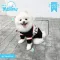 Sweather Ngiven Dog Shirt