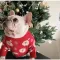 Santa Claus เสื้อน้องหมาน้องเเมว