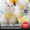 Flower Fairy fashion clothes for beloved pets Cat-dog 002