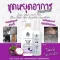 ชุดหยุดอการขี้เรื้อน ผิวหนังอักเสบ เชื้อรา แบคทีเรีย แชมพู 150mlสเปรย์ 70 ml