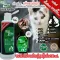 Tooopet Two Pet, Dog Cats, Cats, Rabbit, and Pets, Size 175 ml. Clean, reduce odor, prevent inflammation and sterilization.