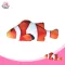 Cat Type fish, cat fish, marijuana, cat cat, cat, cat toys