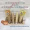 Ham Ham Bakery, a 40 ml of homemade powder powder for pets Sugar Krai Hamster, Squirrel Squirrel Hamin