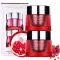 [Estee Lauder] Nutritious Super-Pomegrant Radiant Energy Creme Set